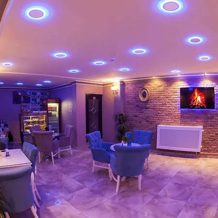 酒店 Hurriyet 伊斯坦布尔